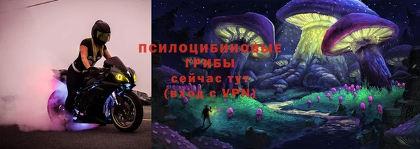 сатива Абинск