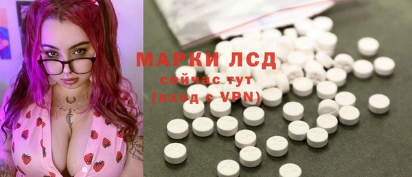 сатива Абинск