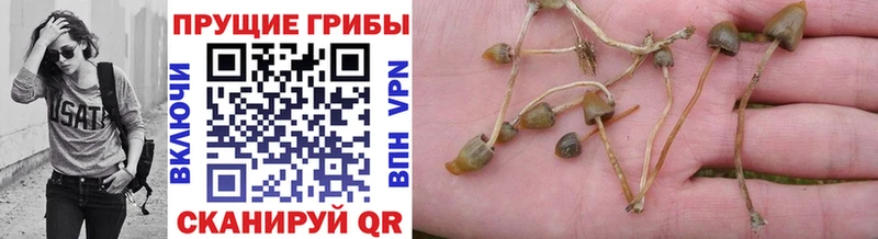 Галлюциногенные грибы MAGIC MUSHROOMS  Донецк 
